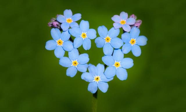 我們這麼忙，只為了能過上這樣的生活