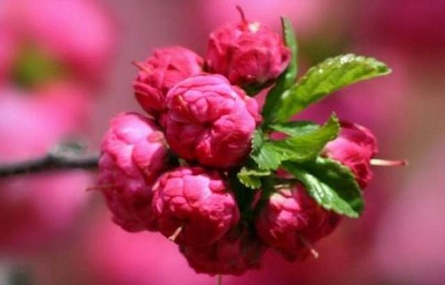 我們這麼忙，只為了能過上這樣的生活