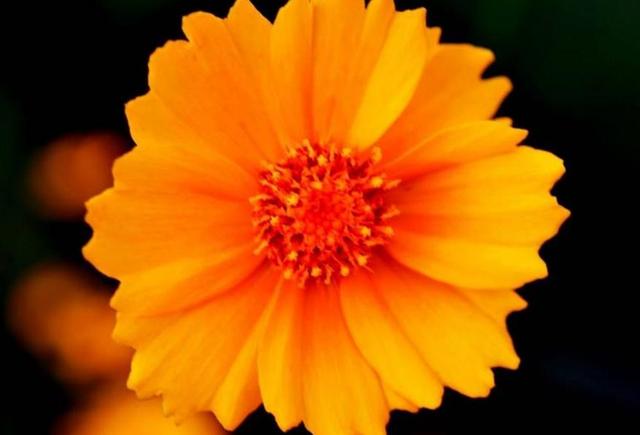 我們這麼忙，只為了能過上這樣的生活