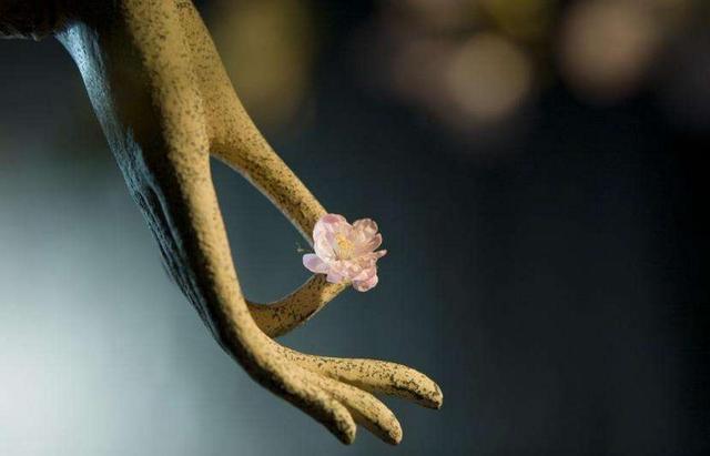 人生，很多時候，需要自己一個人突圍