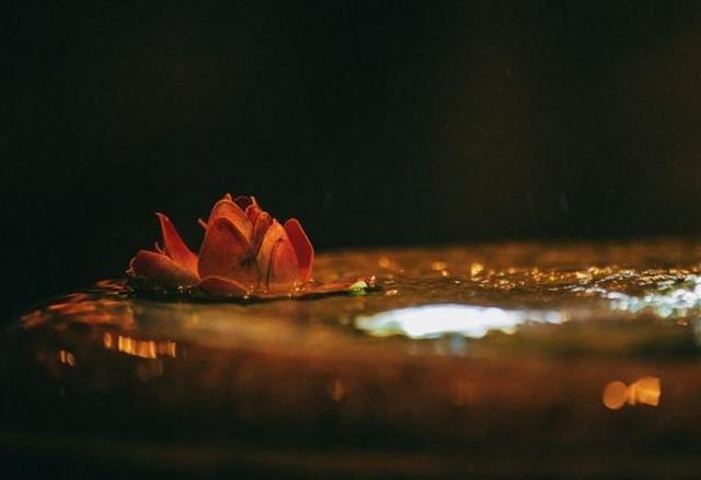 人生，很多時候，需要自己一個人突圍