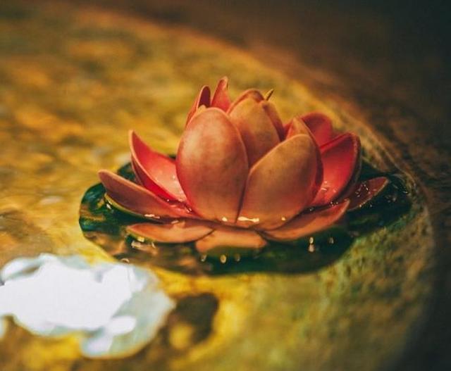 人生，很多時候，需要自己一個人突圍