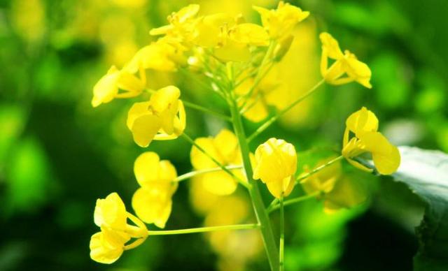 關係越好越不聯繫的星座