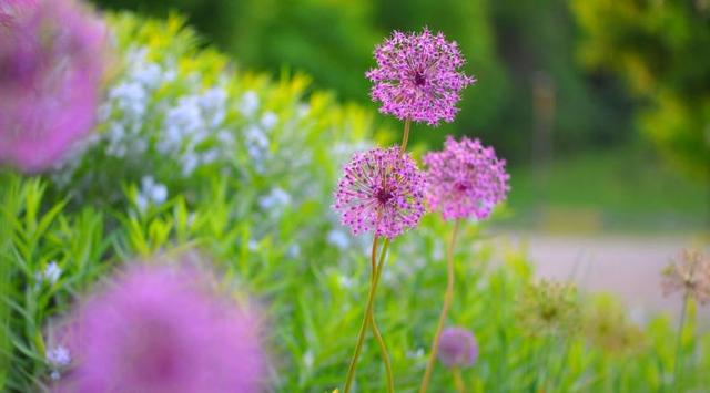 關係越好越不聯繫的星座