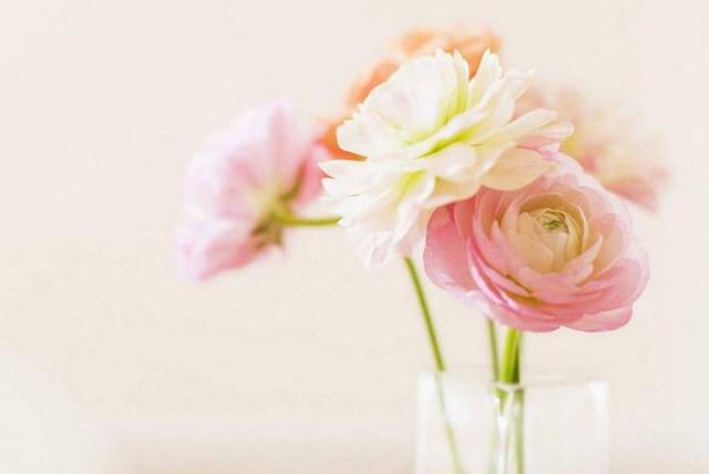 人好脾氣好，最不想吵架的星座