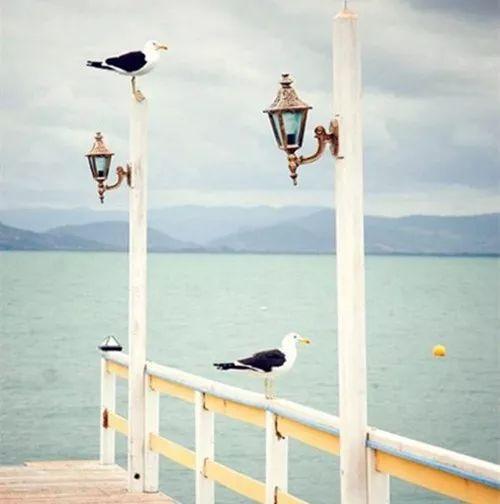 如果有緣，錯過了還會重來