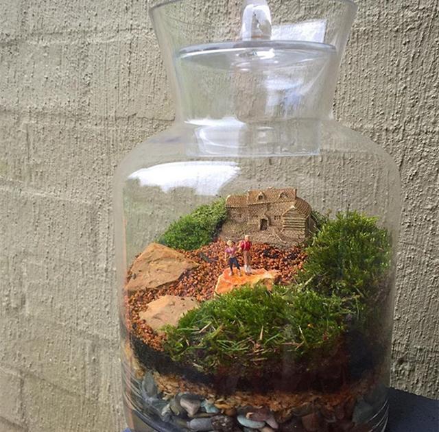 最矛盾的混合體,最低等的高級植物——苔蘚