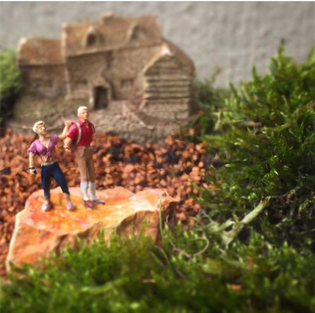 最矛盾的混合體,最低等的高級植物——苔蘚