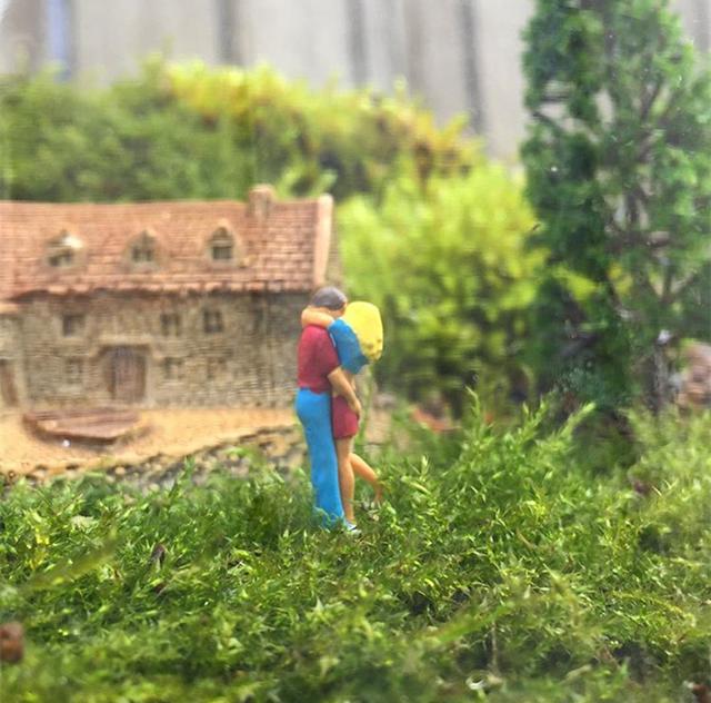 最矛盾的混合體,最低等的高級植物——苔蘚