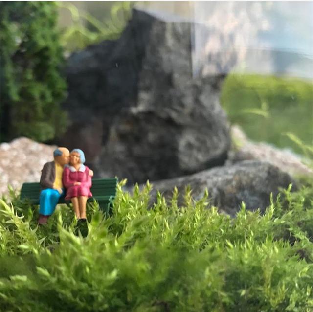 最矛盾的混合體,最低等的高級植物——苔蘚