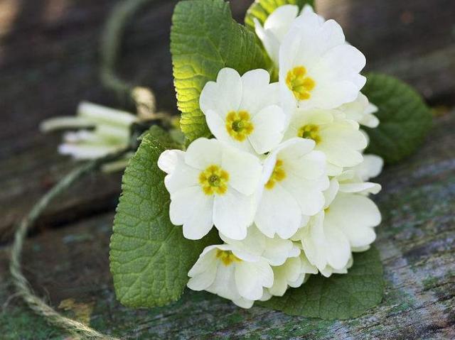 做人，在這幾種情況下：要少開口，多點頭