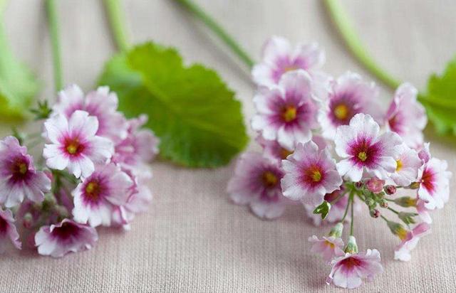 做人，在這幾種情況下：要少開口，多點頭