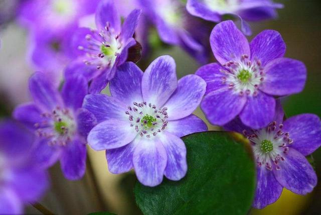 做人，在這幾種情況下：要少開口，多點頭