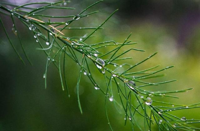 人生的這三場苦雨：透，心，涼