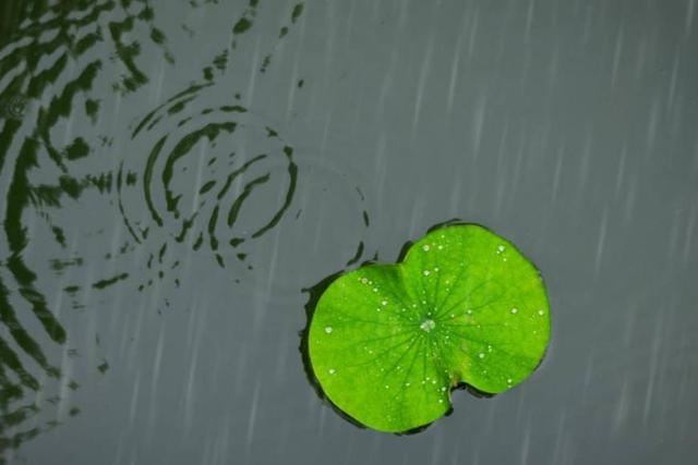 人生的這三場苦雨：透，心，涼