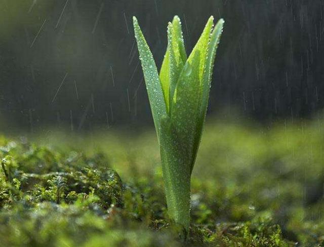 人生的這三場苦雨：透，心，涼