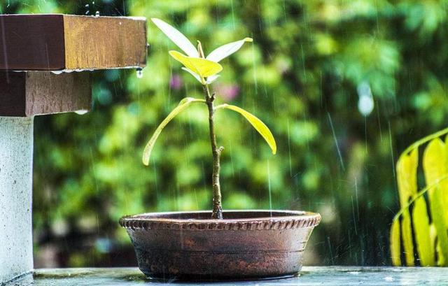 人生的這三場苦雨：透，心，涼