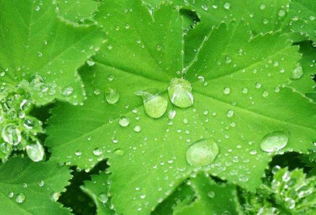 人生的這三場苦雨：透，心，涼