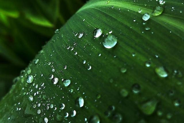 人生的這三場苦雨：透，心，涼