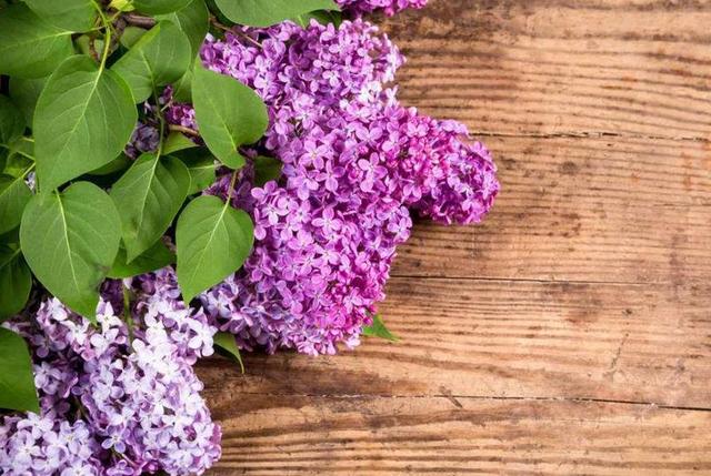 有一種沉默，叫一笑而過