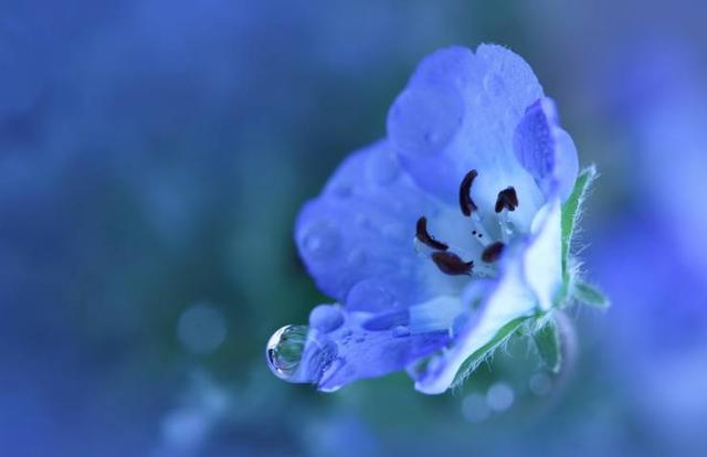 太感性！ 根本憋不住眼淚的星座