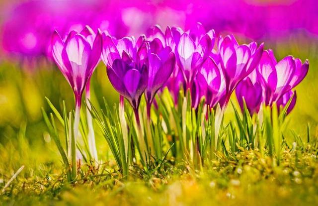 太感性！ 根本憋不住眼淚的星座