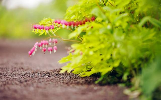太感性！ 根本憋不住眼淚的星座