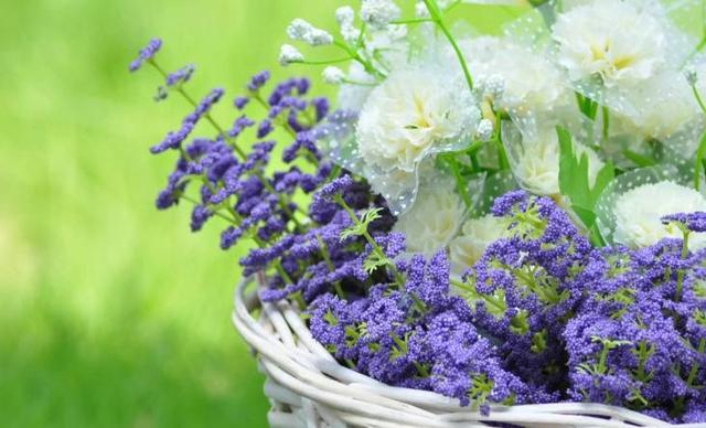 太感性！ 根本憋不住眼淚的星座