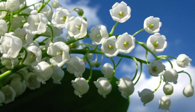 太感性！ 根本憋不住眼淚的星座