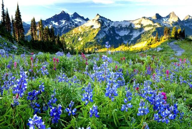 太感性！ 根本憋不住眼淚的星座