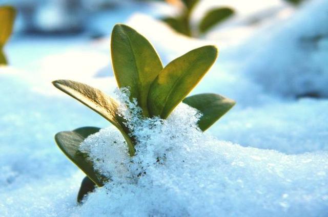 太感性！ 根本憋不住眼淚的星座