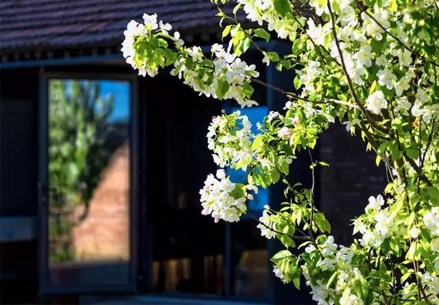 世界再大，不過一個開滿繁花的小院