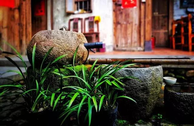 世界再大，不過一個開滿繁花的小院