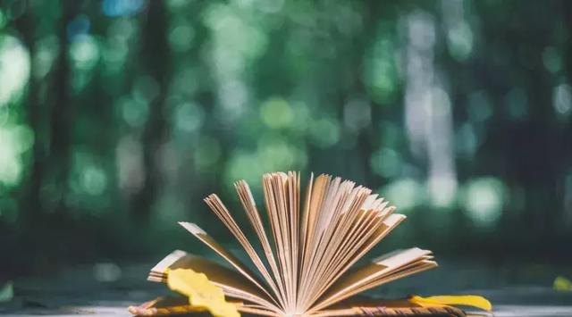 如何在14歲以前，解決孩子閱讀與作業之間的“矛盾”