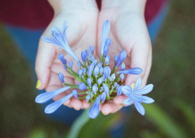 身上不缺正能量，但就是喜歡抱怨的星座