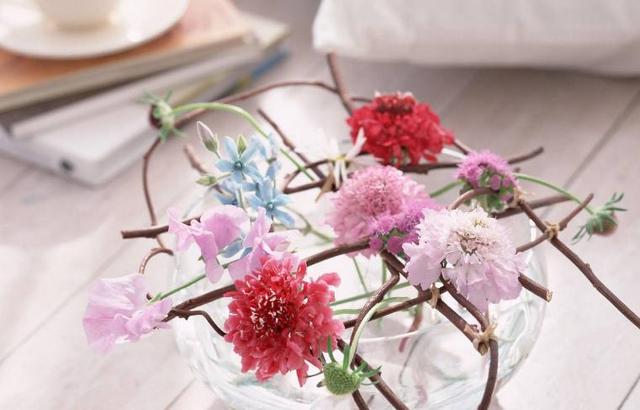 身上不缺正能量，但就是喜歡抱怨的星座