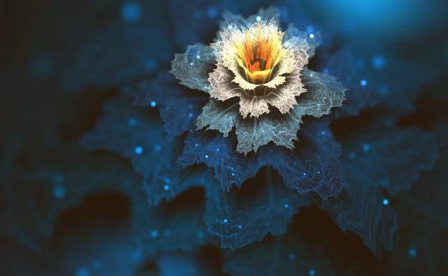 不是愛記仇，只是太癡情的星座