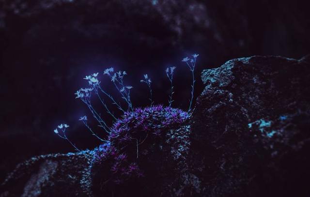 不是愛記仇，只是太癡情的星座