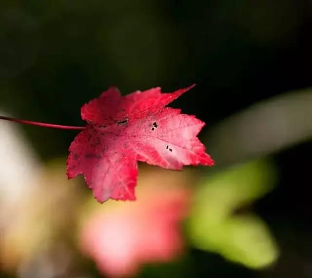 致,爺們!!(絕對經典)