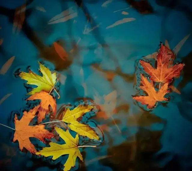 致,爺們!!(絕對經典)