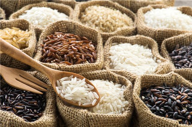 想減肥但不知道怎麼減？ 試試這份初學者瘦身法！