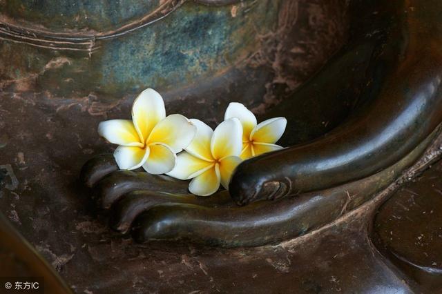 做人的溫度，決定你人生的幸福指數