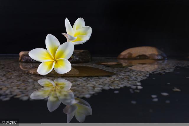 做人的溫度，決定你人生的幸福指數