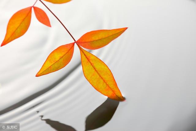 做人的溫度，決定你人生的幸福指數