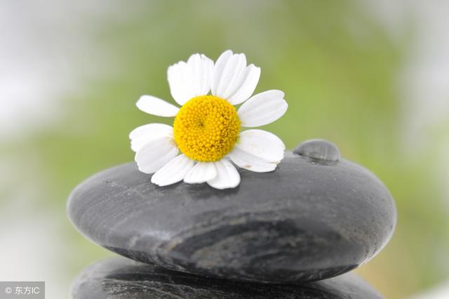 做人的溫度，決定你人生的幸福指數