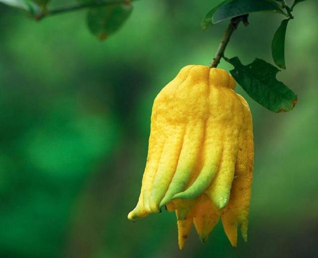 這三件事，最讓我們覺得“不聽老人言，吃虧在眼前”