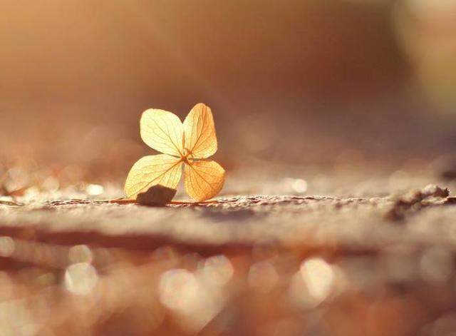 愛情中最能折騰人，但不是無理取鬧的星座