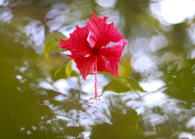 愛情中最能折騰人，但不是無理取鬧的星座