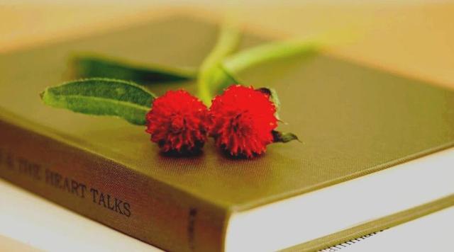 愛情中最能折騰人，但不是無理取鬧的星座