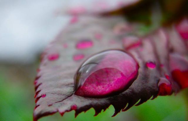 生活跟戀愛不能混為一談的星座
